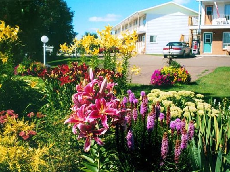 Fair Isle Motel